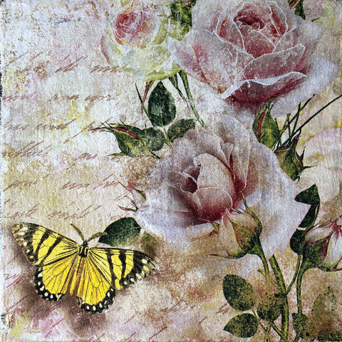 Vorderseite_Box_Grafik